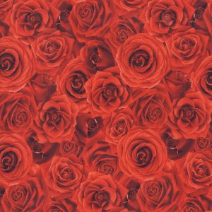 Hi Fashion Red Roses Premium Cotton Fabric