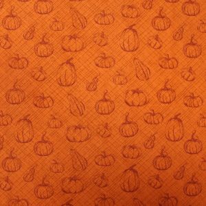 Pumpkins Orange Super Snuggle Flannel Fabric