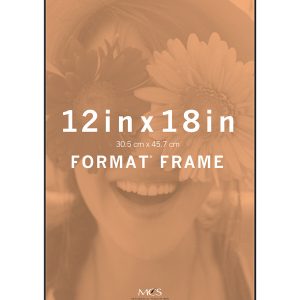 MCS 12 x 18 Front Loading Black Wall Frame