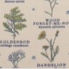 Flower Names on Beige Anti Pill Fleece Fabric
