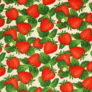 Red Bold Summer Strawberry Patch Anti Pill Plush Fleece Fabric