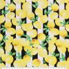 Lemon Stripe Super Snuggle Flannel Fabric