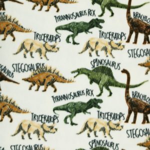 Dinosaurs   Names on Cream Anti Pill Fleece Fabric