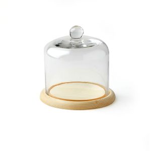 5 Handle Top Glass Terrarium by Park Lane