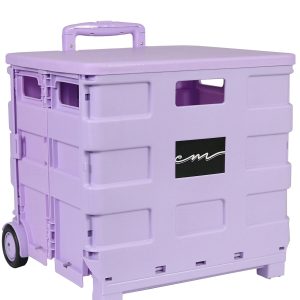 Everything Mary 16 Purple Plastic Collapsible Cart Organizer