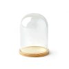 6 Dome Top Glass Terrarium by Park Lane