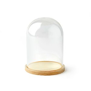 6 Dome Top Glass Terrarium by Park Lane