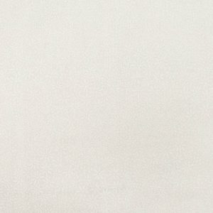 Simple Daisy Packed White 108  Wide Cotton Fabric